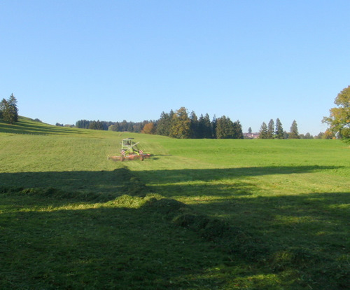 Schwangau Area Bike Tour.